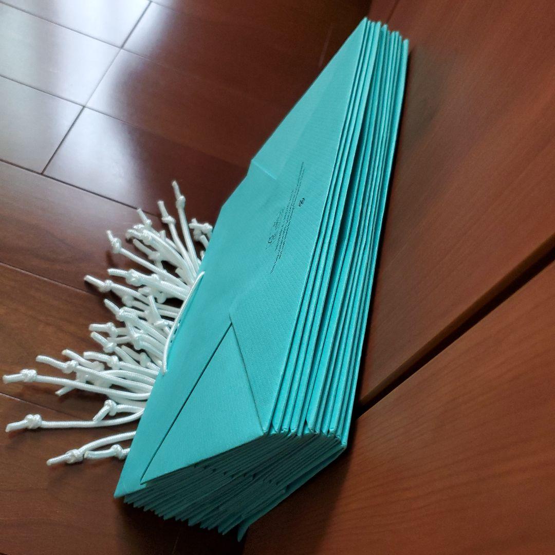 《新品未使用》ティファニー　ショップ袋(大)11枚　(24×28×16.6cm)