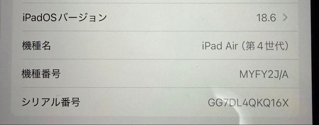 【期間限定】iPad Air (第4世代) Wi-Fi 10.9インチ256GB