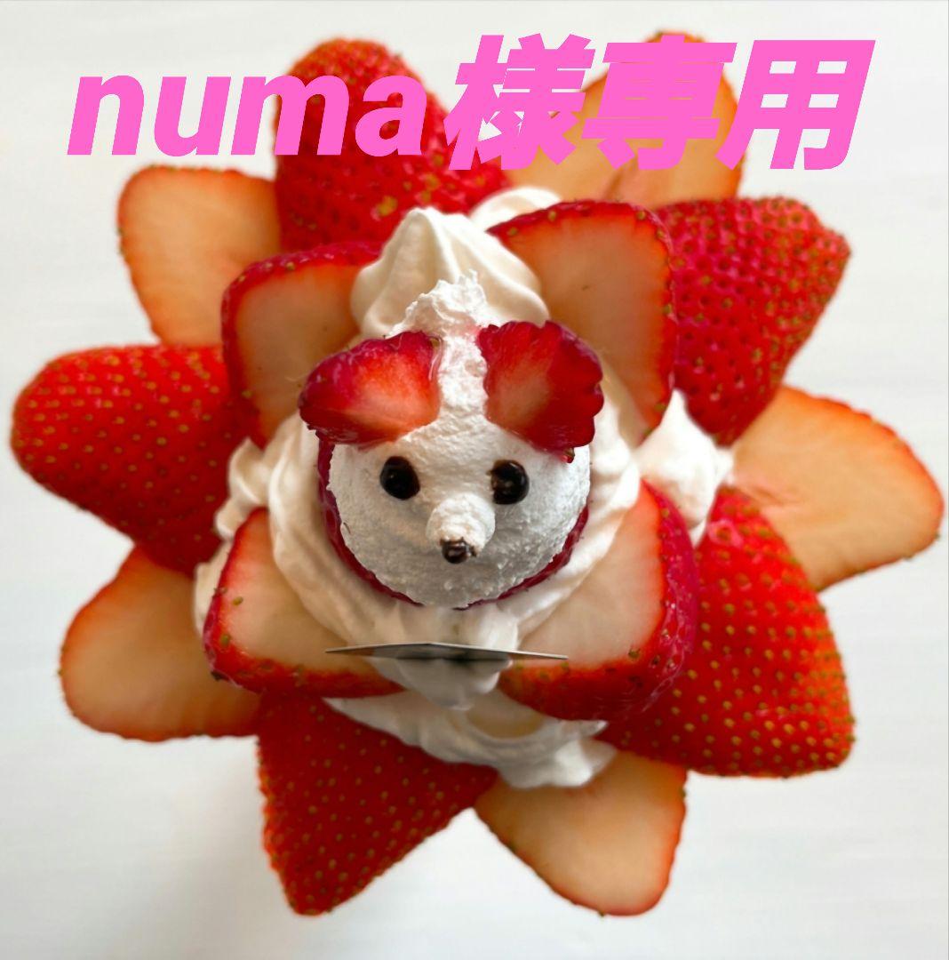 美容液 numa