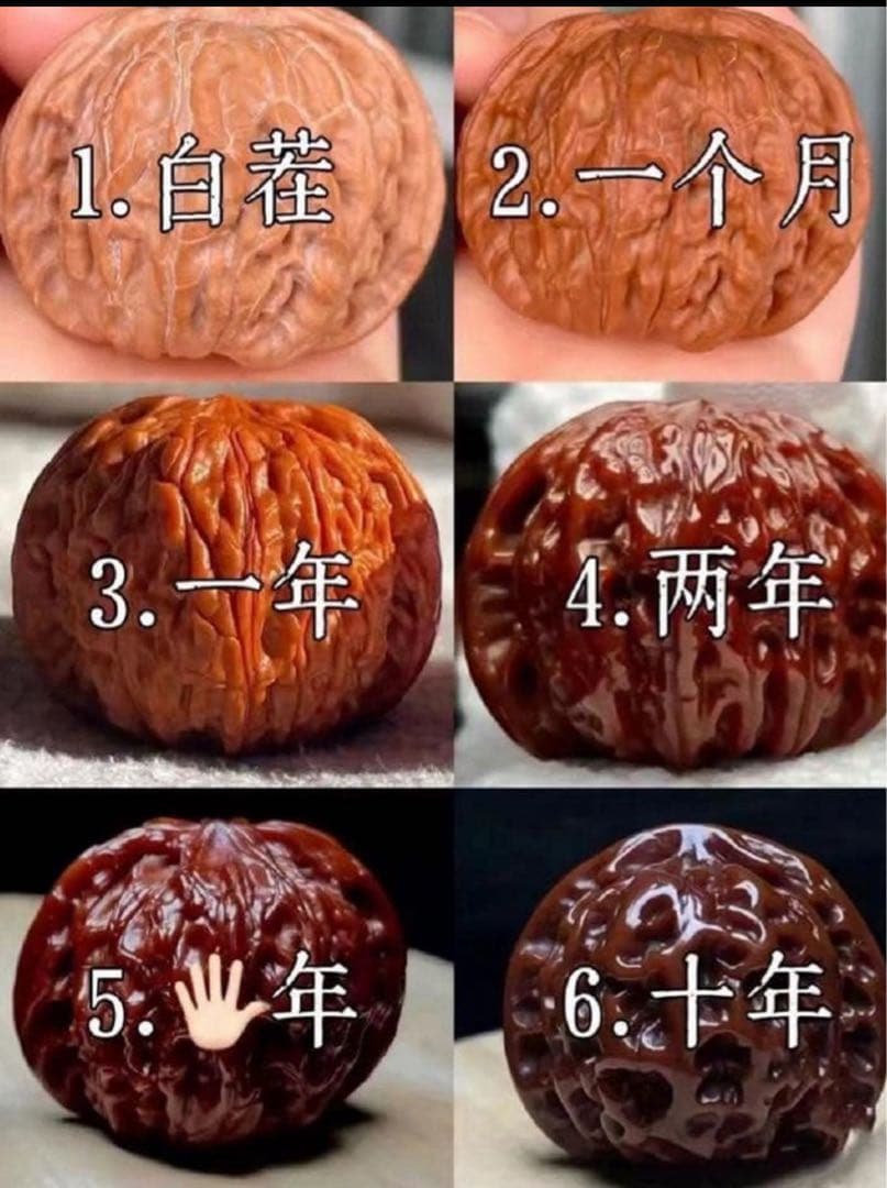 ☆天然☆ 伝統的な文玩（陰唇）の逸品、橄榄核雕刻の手球ペア 62mm