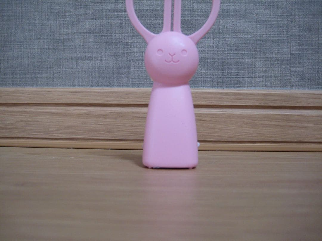 動作確認OK キャノン Canon IXY DIGITL 10 コンデジ