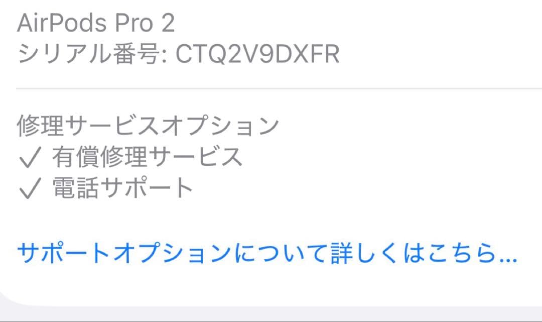 【新品】Airpods Pro 第二世代　充電ケース lightningモデル