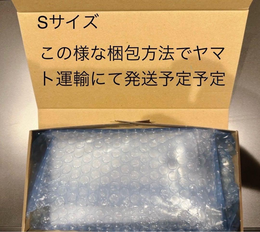 PSA10メガガルーラex SAR メガシンフォニア 089/063 6507